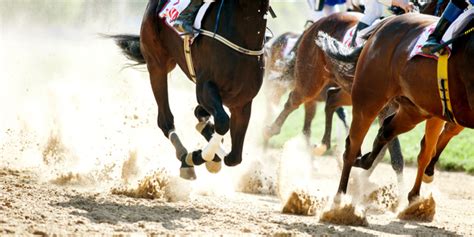 SIS to broadcast Hipódromo de las Américas fixtures via Codere .